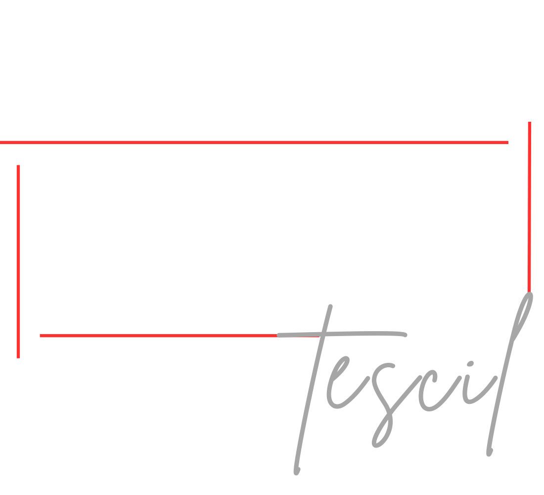 Patent Market Logo footer